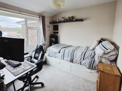 Picture 12